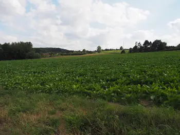 Kwaremont (Belgium)